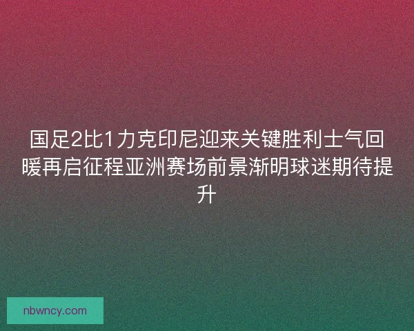 国足2比1力克印尼迎来关键胜利士气回暖再启征程亚洲赛场前景渐明球迷期待提升