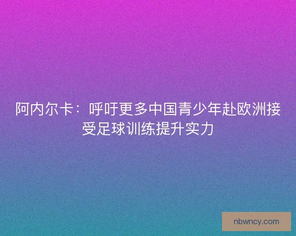 阿内尔卡：呼吁更多中国青少年赴欧洲接受足球训练提升实力