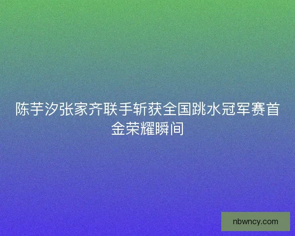 陈芋汐张家齐联手斩获全国跳水冠军赛首金荣耀瞬间